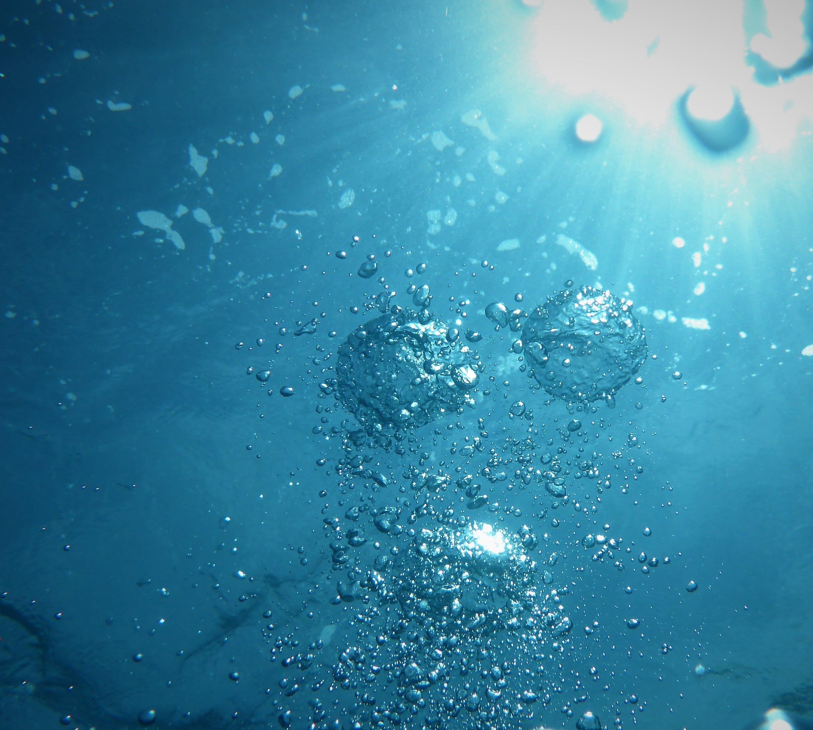 Water Family