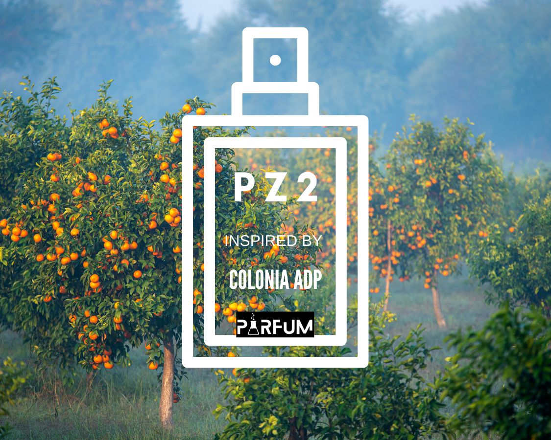 PZ2 inspired by "Note di COLONIA-I"