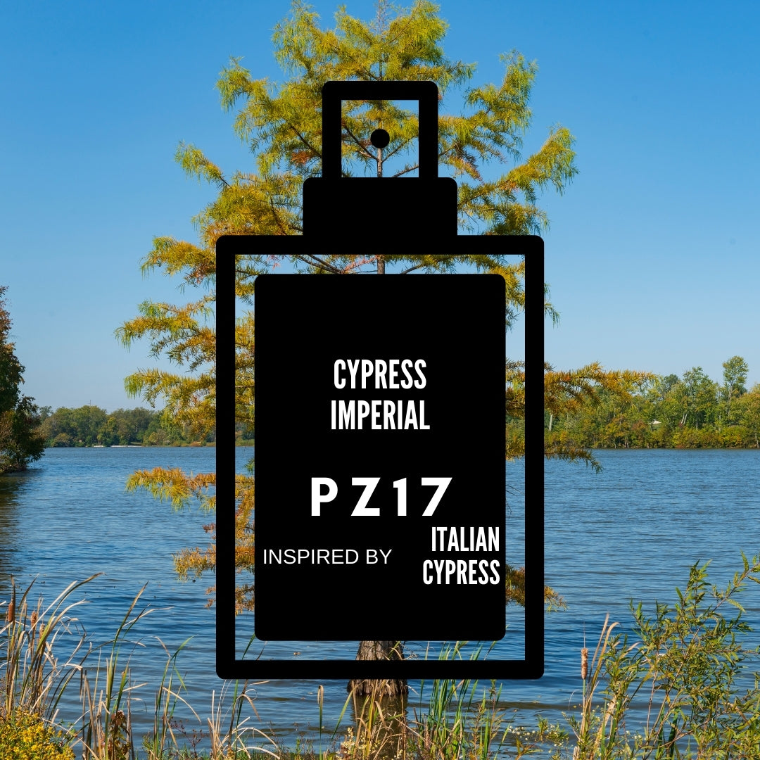Cypress Imperial-PZ17 inspired by "Italian Cypress"