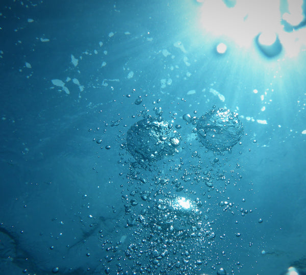 Water Family