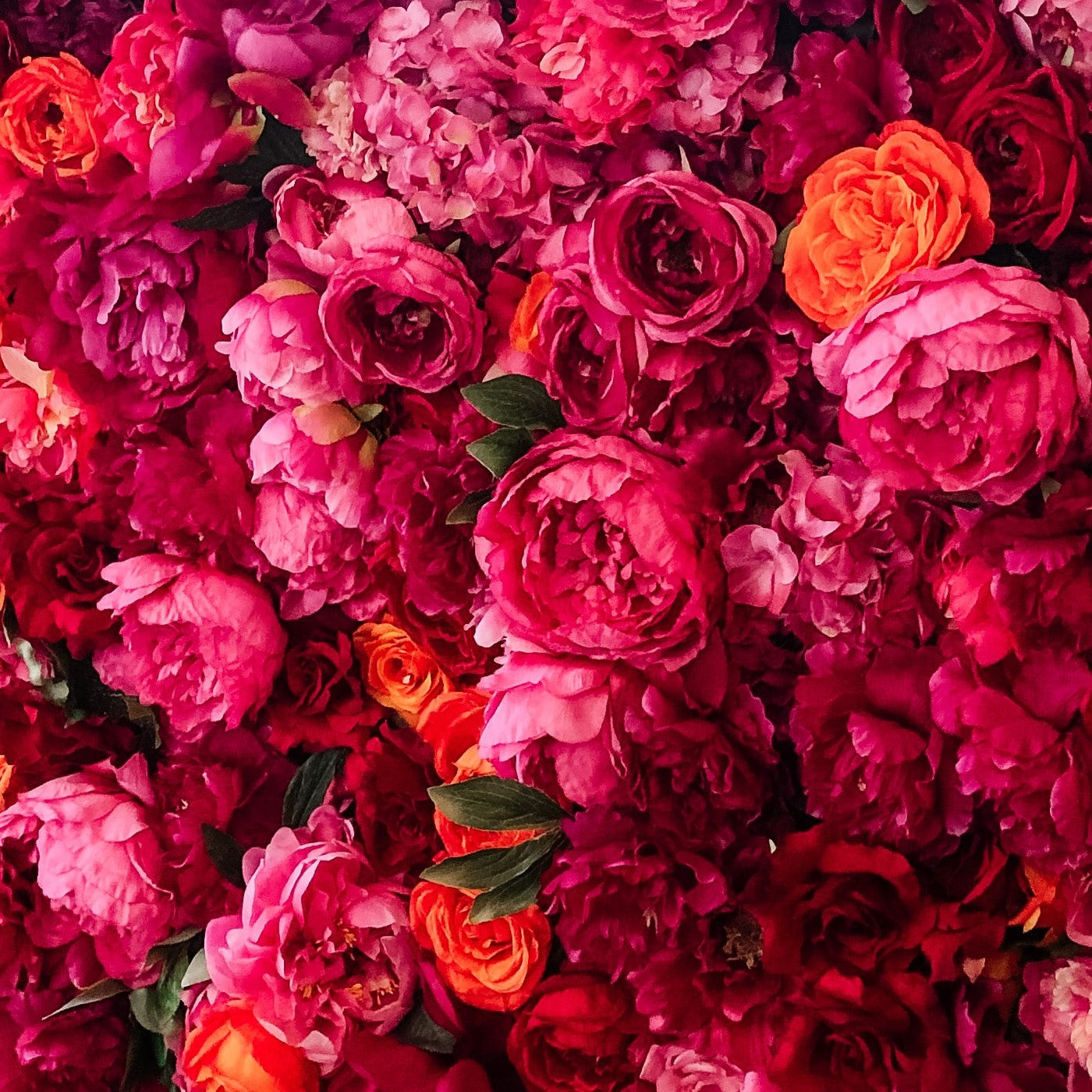 Floral Amber Family
