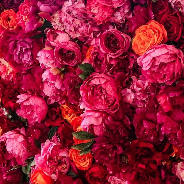 Floral Amber Family