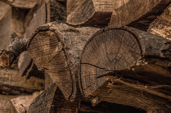 Dry Woods Family