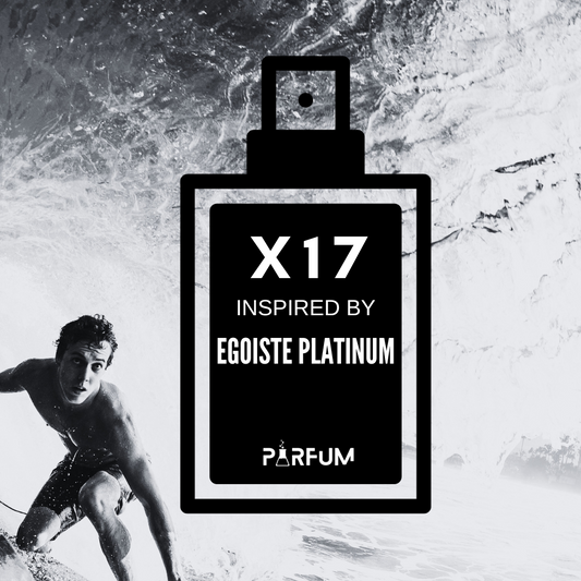 X17 inspired by "Egoiste Platinum"