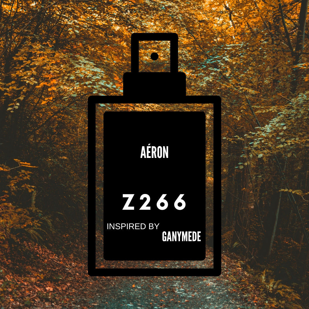 Aéron-Z266 inspired by "Ganymede Marc-Antoine Barrois"