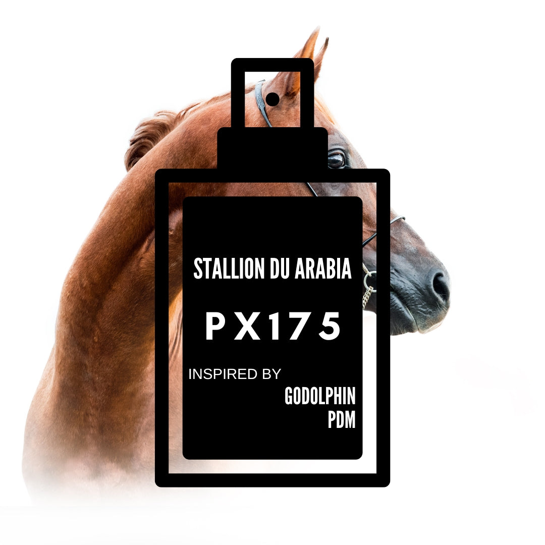 Stallion Du Arabia|PX175 inspired by "Godolphin-Parfums De Marly"