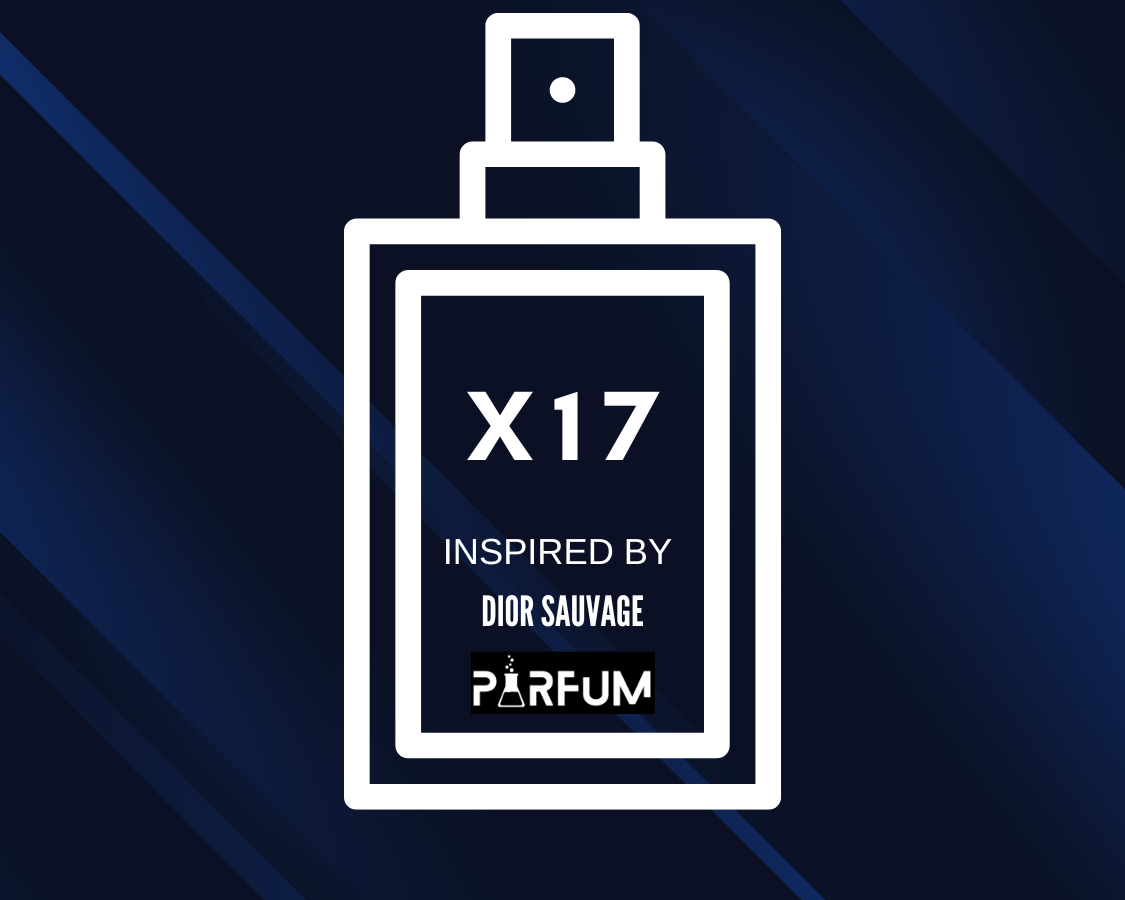 X17 inspired by "Sauvage"